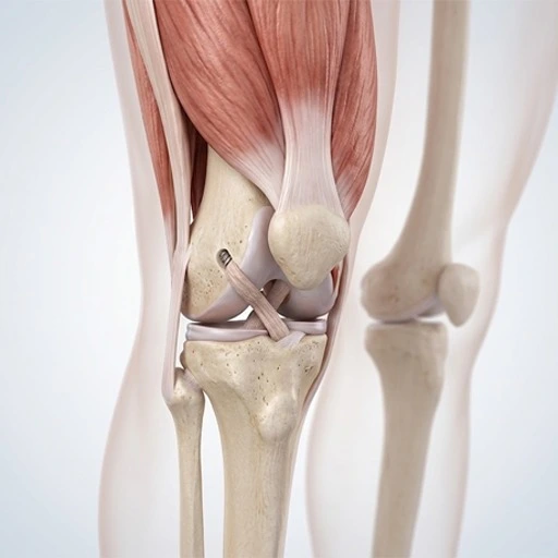 Dr. Kamal Kishor Gupta — Best Orthopedic Doctor in Lucknow